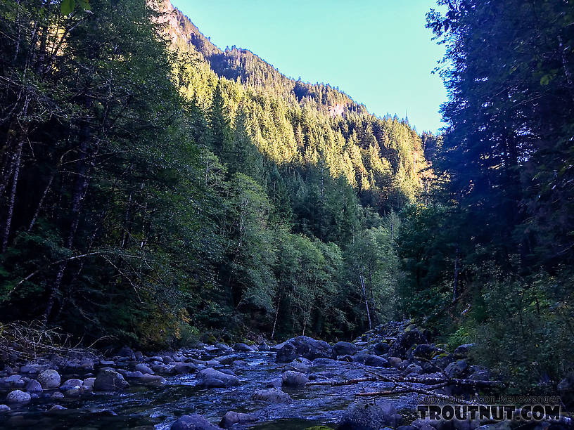  From the Taylor River in Washington.