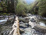  From the Taylor River in Washington.