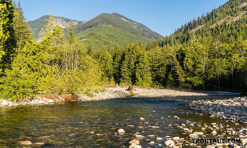  From the South Fork Snoqualmie River in Washington.