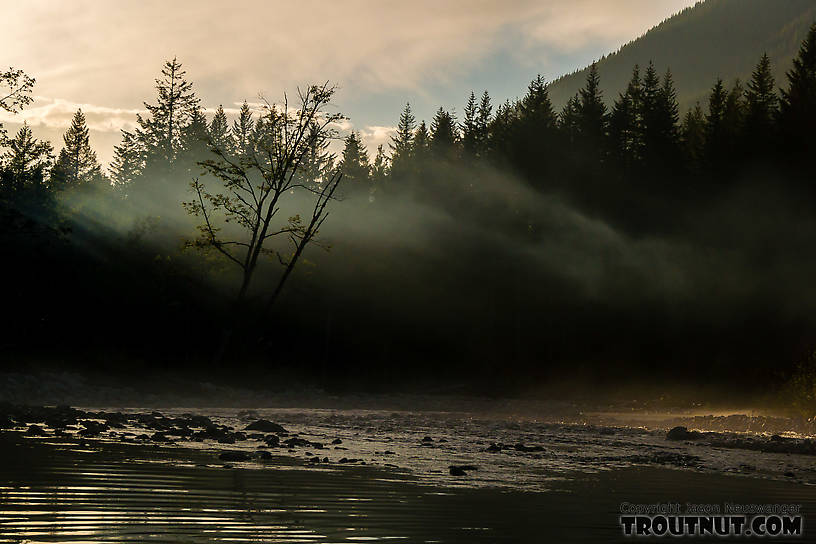  From the South Fork Snoqualmie River in Washington.