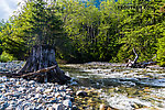  From the South Fork Snoqualmie River in Washington.