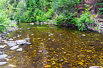  From the West Fork Teanaway River in Washington.