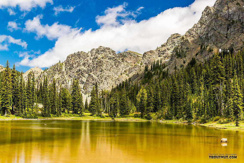  From Gallaher Head Lake in Washington.