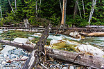  From the South Fork Snoqualmie River in Washington.