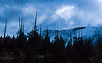  From the South Fork Snoqualmie River in Washington.