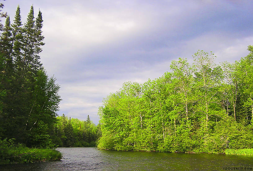  From the Namekagon River in Wisconsin.