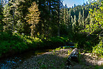  From the South Fork Manastash Creek in Washington.