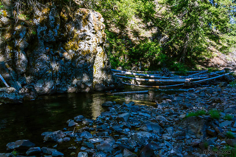  From the Little Naches River in Washington.