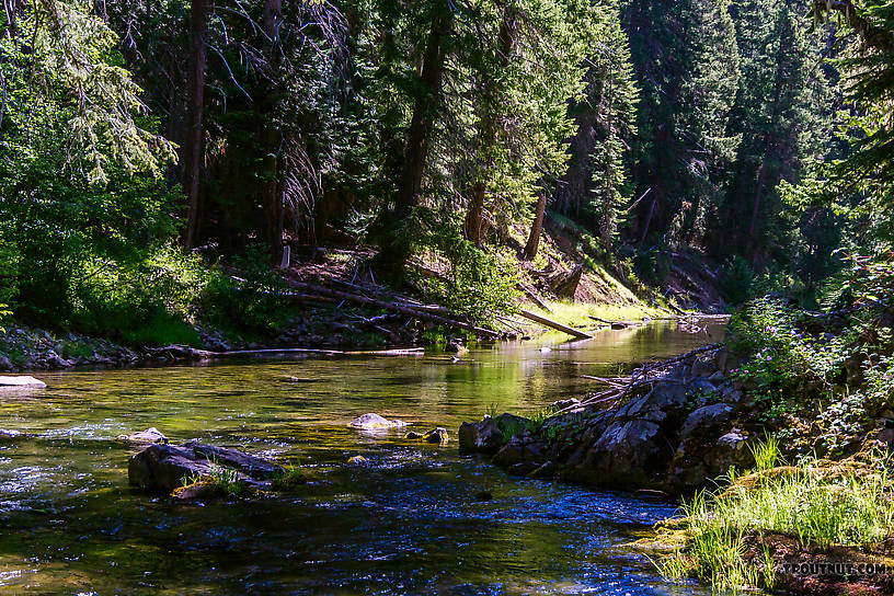  From the Little Naches River in Washington.