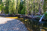  From the Little Naches River in Washington.