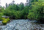  From Huckleberry Creek in Washington.