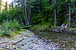  From Huckleberry Creek in Washington.