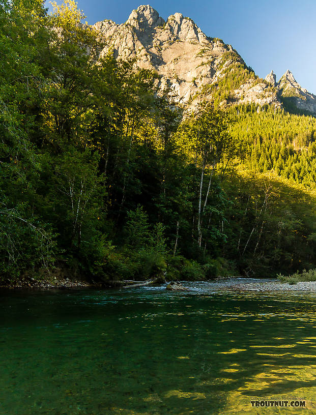  From the Middle Fork Snoqualmie River in Washington.