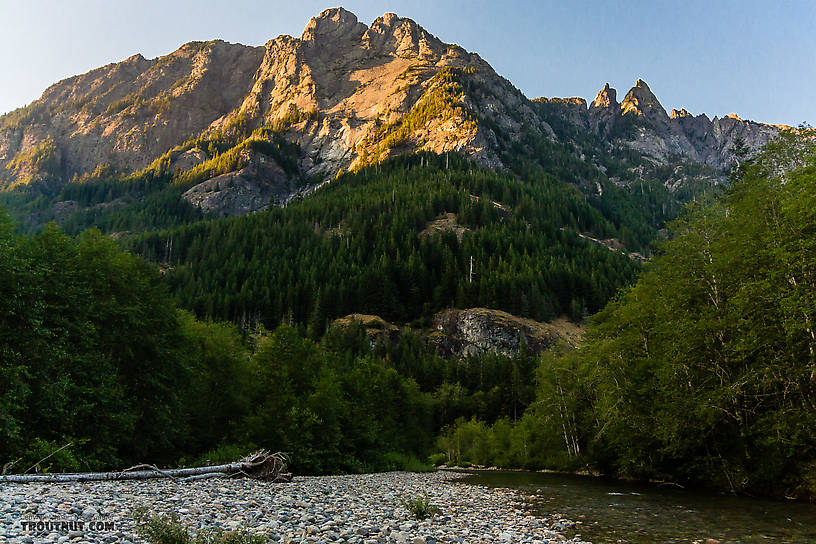  From the Middle Fork Snoqualmie River in Washington.