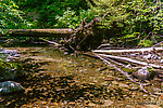  From Barnes Creek in Washington.