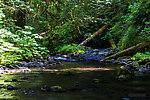  From Barnes Creek in Washington.