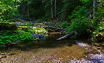  From Barnes Creek in Washington.