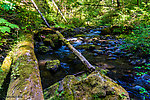  From Barnes Creek in Washington.