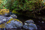  From Barnes Creek in Washington.