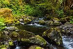  From Barnes Creek in Washington.