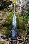 Marymere Falls is on a tributary of Barnes Creek. It's a massive tourist magnet. There was a group of people every 50-100 yards on the well-trodden trail to and from this falls, which is the first part of the access to Barnes Creek. From Barnes Creek in Washington.