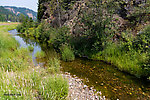  From Tepee Creek in Idaho.