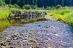  From Tepee Creek in Idaho.