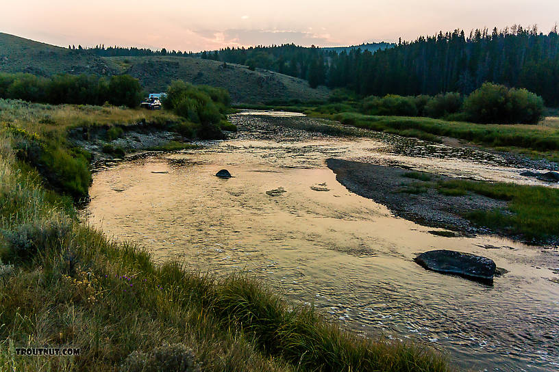  From the Big Hole River in Montana.