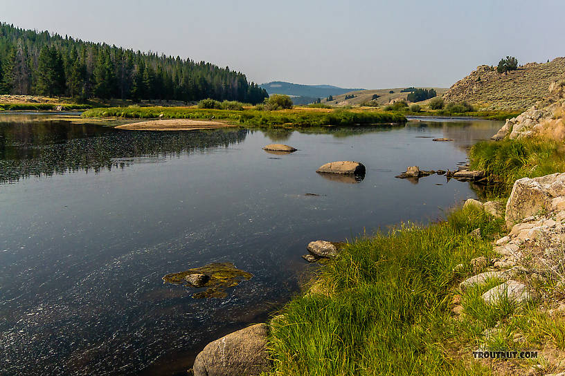  From the Big Hole River in Montana.