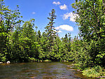  From the Bois Brule River in Wisconsin.