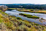  From the Big Hole River in Montana.