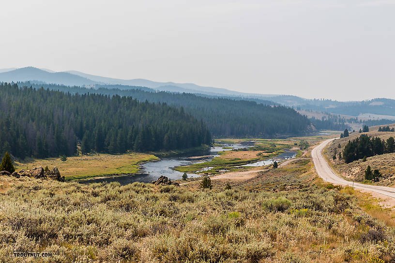  From the Big Hole River in Montana.