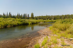  From the Mystery Creek # 217 in Wyoming.