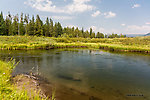  From the Mystery Creek # 217 in Wyoming.