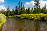  From the Mystery Creek # 217 in Wyoming.