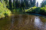  From the Mystery Creek # 217 in Wyoming.