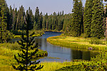  From the Mystery Creek # 217 in Wyoming.