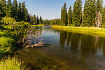  From the Mystery Creek # 217 in Wyoming.