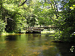  From the Bois Brule River in Wisconsin.