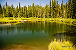  From the Mystery Creek # 217 in Wyoming.