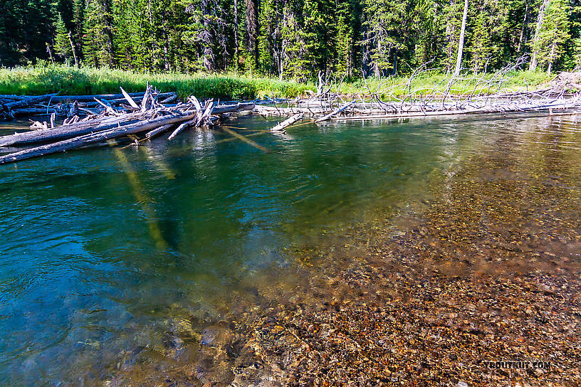  From the Mystery Creek # 217 in Wyoming.