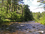  From the Bois Brule River in Wisconsin.