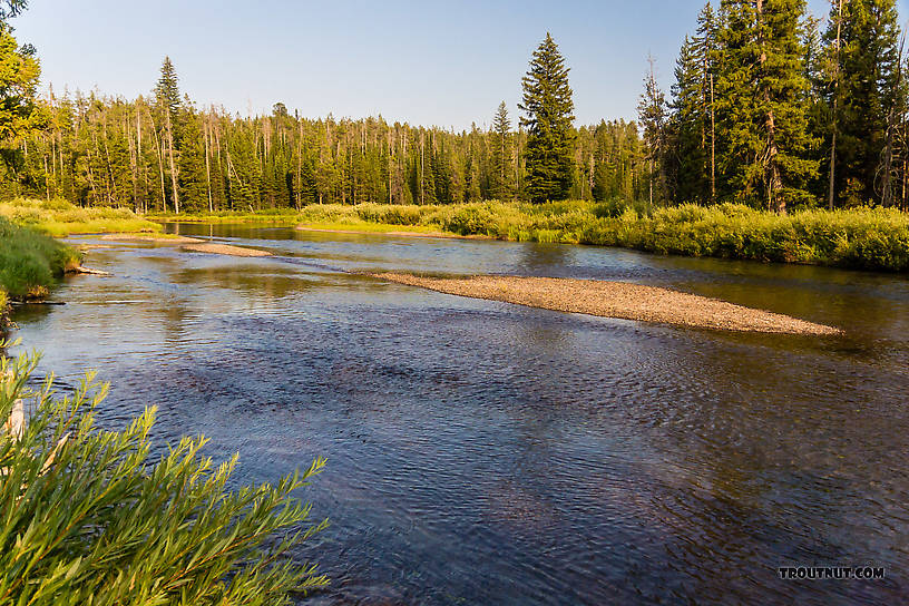  From the Mystery Creek # 217 in Wyoming.