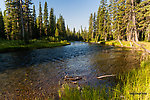  From Mystery Creek # 218 in Wyoming.