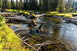  From Mystery Creek # 218 in Wyoming.