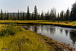  From Mystery Creek # 218 in Wyoming.