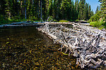  From Mystery Creek # 218 in Wyoming.