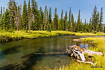  From Mystery Creek # 218 in Wyoming.