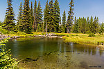  From Mystery Creek # 218 in Wyoming.