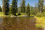  From Mystery Creek # 218 in Wyoming.